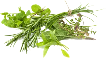 ALAKH-Herbs