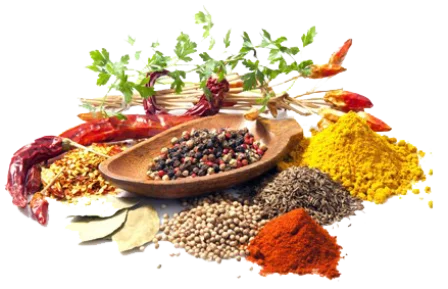 ALAKH-Spices